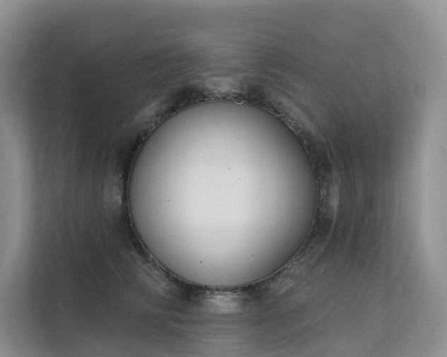 X0000111610710200907171224
