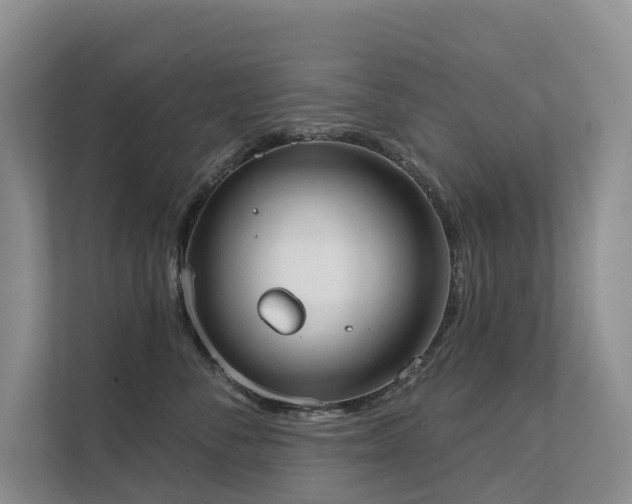 X0000111610716200907171224