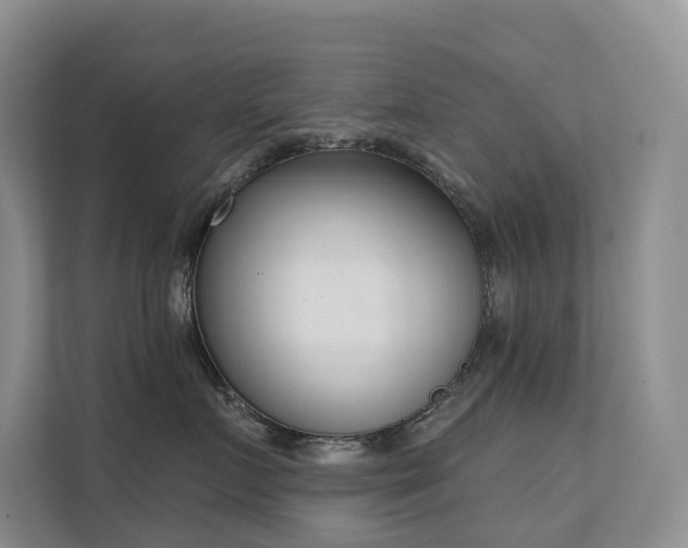 X0000111610719200907171224