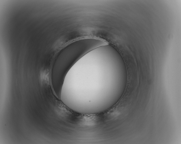 X0000111610720200907171224