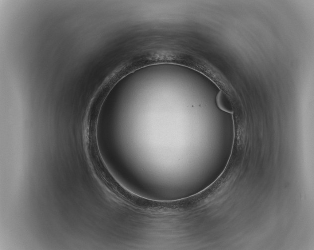 X0000111610722200907171223