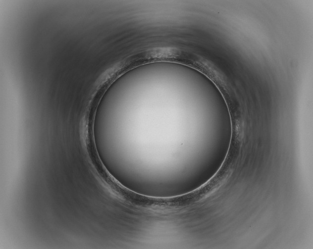 X0000111610725200907171223