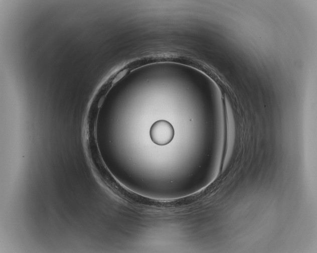X0000111610726200907171223