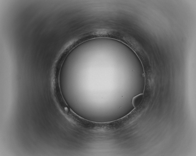 X0000111610728200907171223
