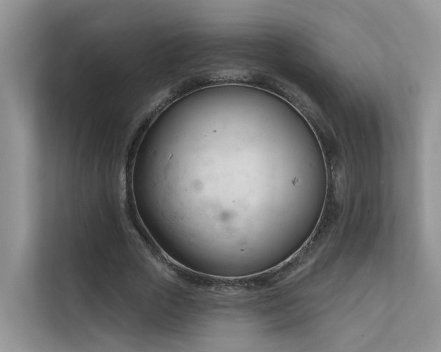 X0000111610729200907171223