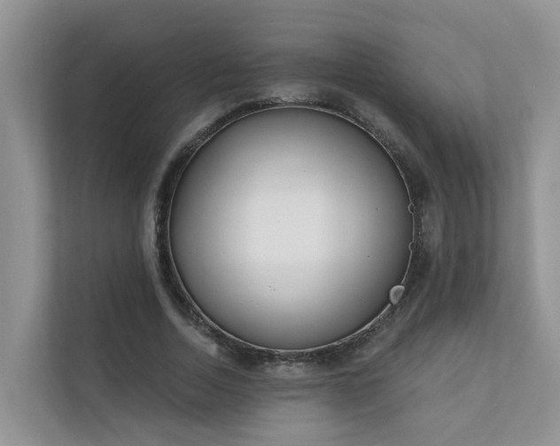 X0000111610730200907171223