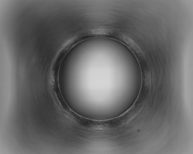 X0000111610731200907171223