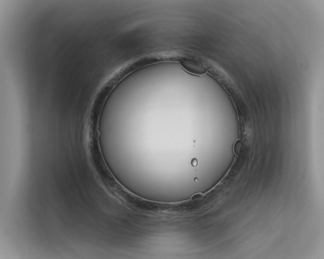 X0000111610732200907171223