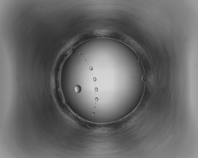 X0000111610734200907171223