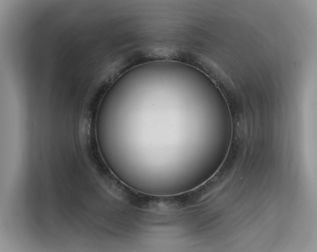 X0000111610739200907171223