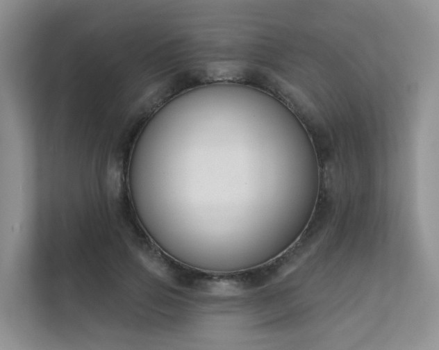 X0000111610741200907171223