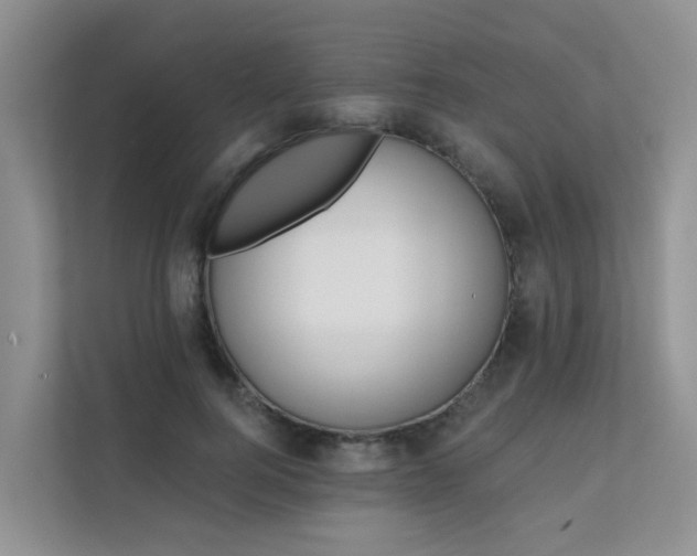 X0000111610744200907171223