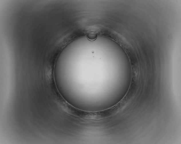 X0000111610745200907171223