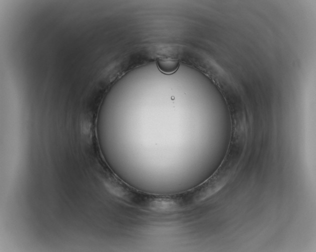 X0000111610749200907171223