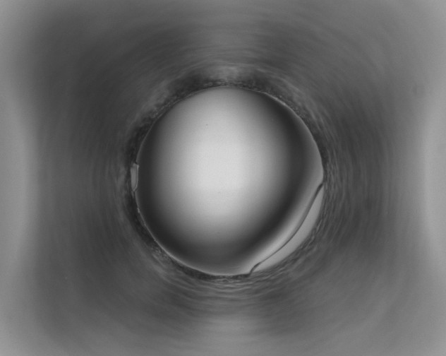 X0000111610750200907171223