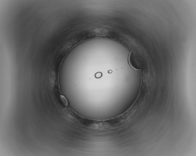 X0000111610752200907171224