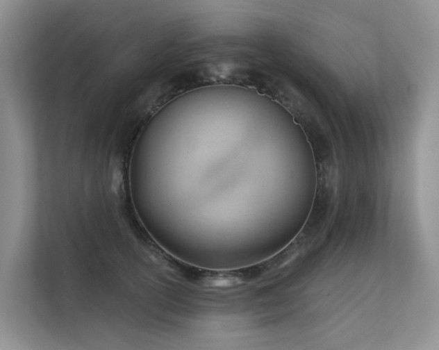 X0000111610754200907171224