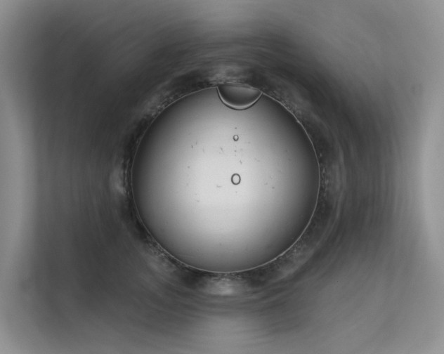X0000111610755200907171224