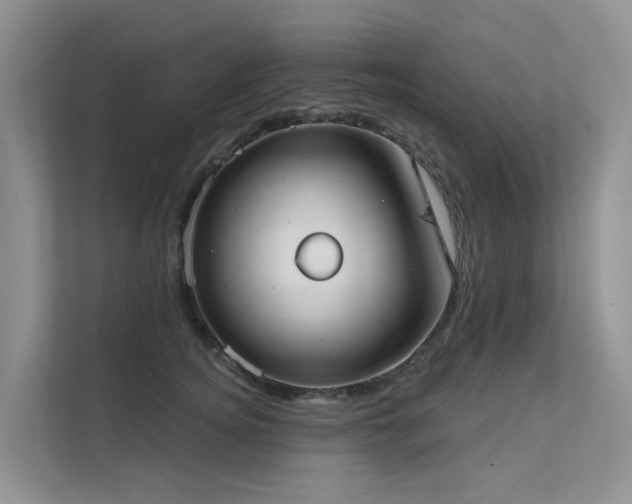X0000111610756200907171224