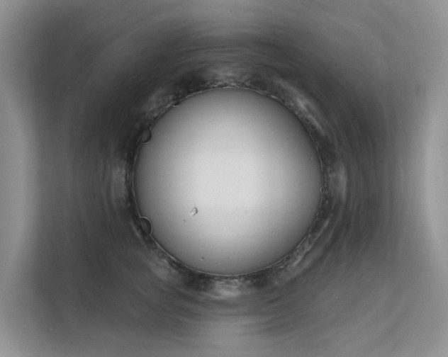 X0000111610757200907171224
