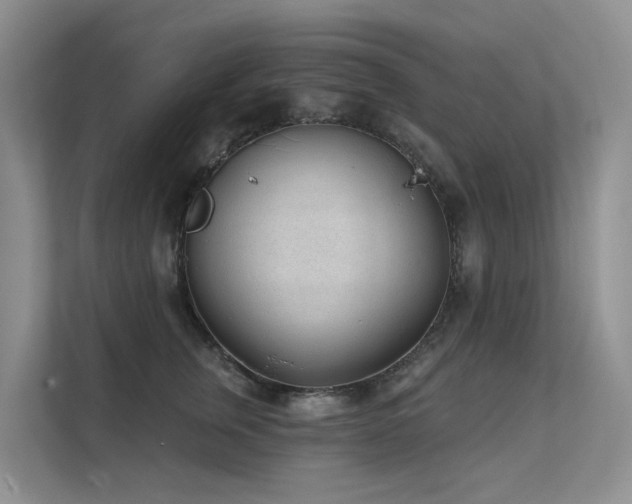X0000111610759200907171224