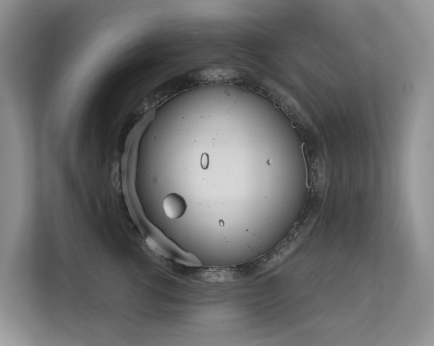 X0000111610762200907171224