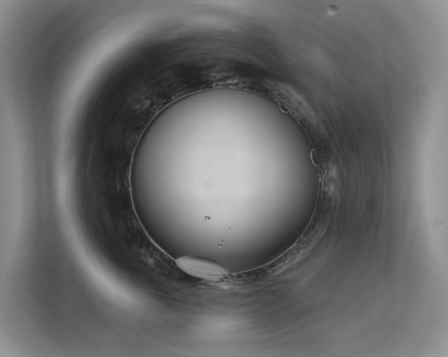 X0000111610763200907171224