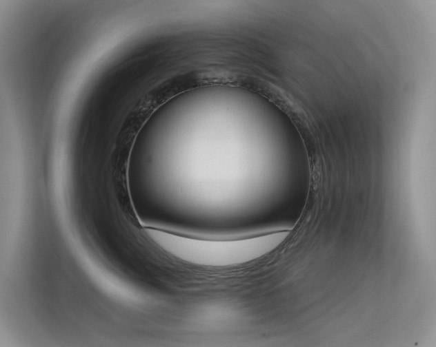 X0000111610764200907171224