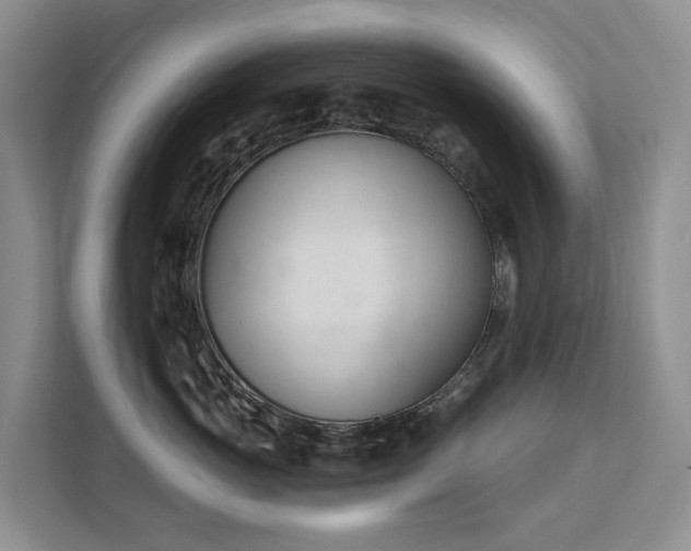 X0000111610765200907171224