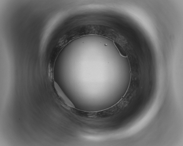 X0000111610766200907171224