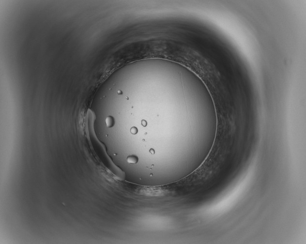 X0000111610767200907171224