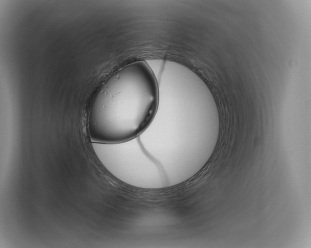 X0000111610768200907171224