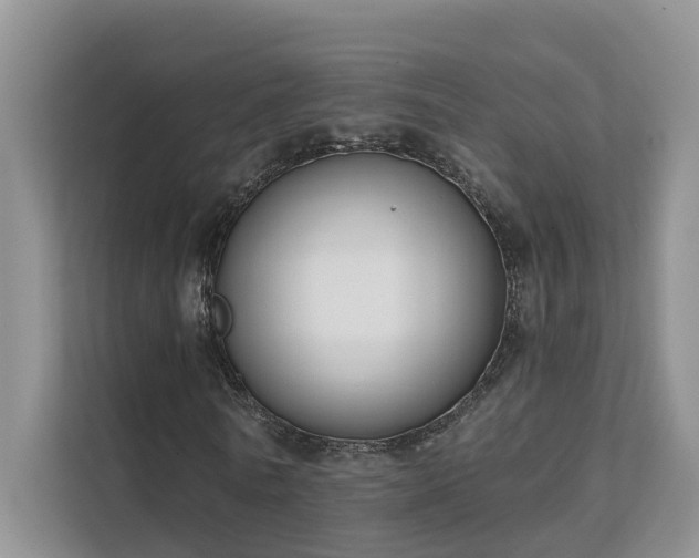 X0000111610770200907171223
