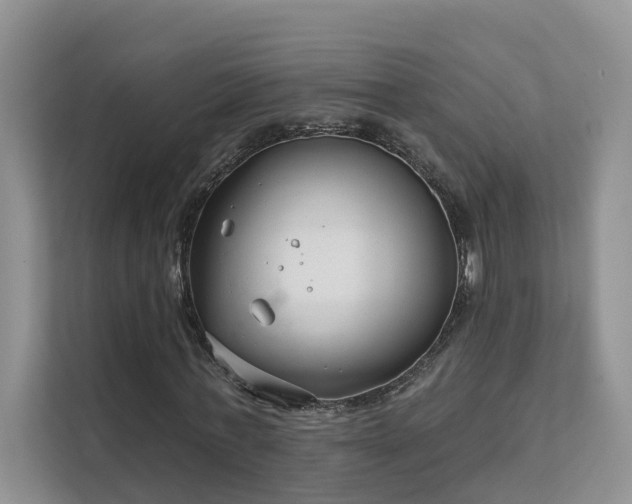 X0000111610771200907171223