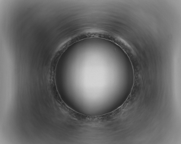 X0000111610775200907171223