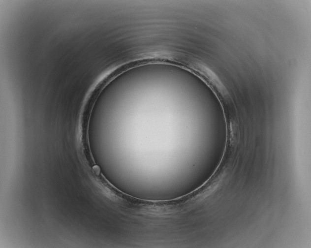 X0000111610780200907171223