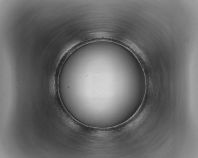 X0000111610782200907171223