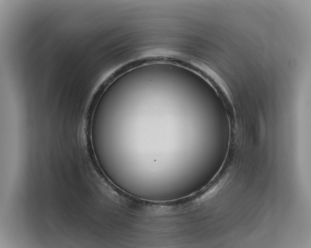 X0000111610783200907171223