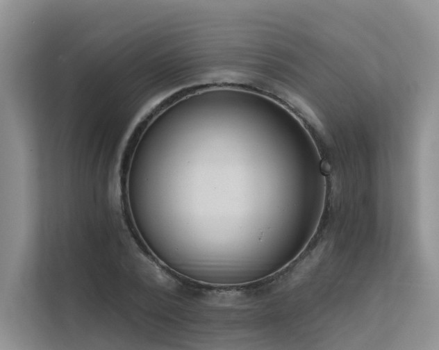 X0000111610784200907171223