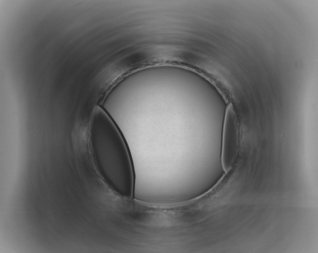 X0000111610785200907171223