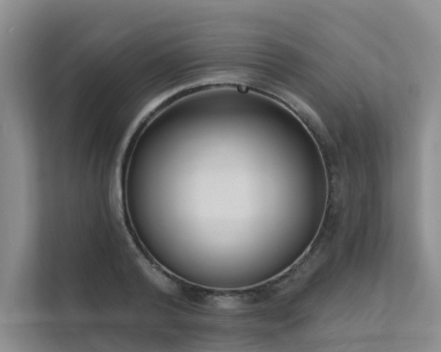 X0000111610792200907171223