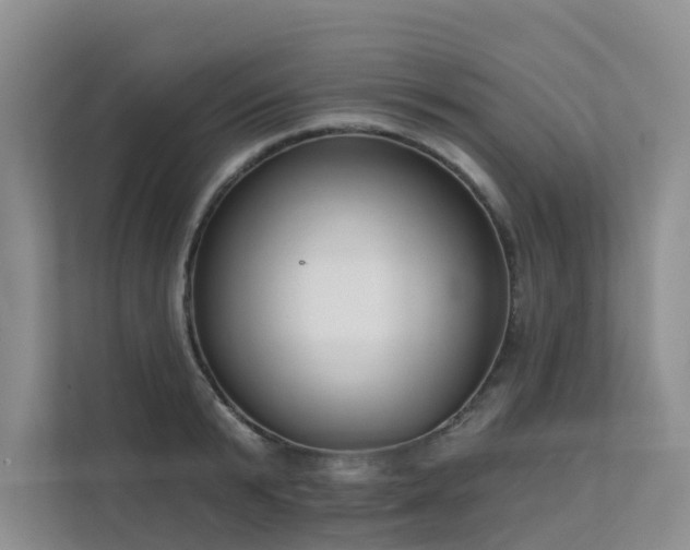 X0000111610799200907171223