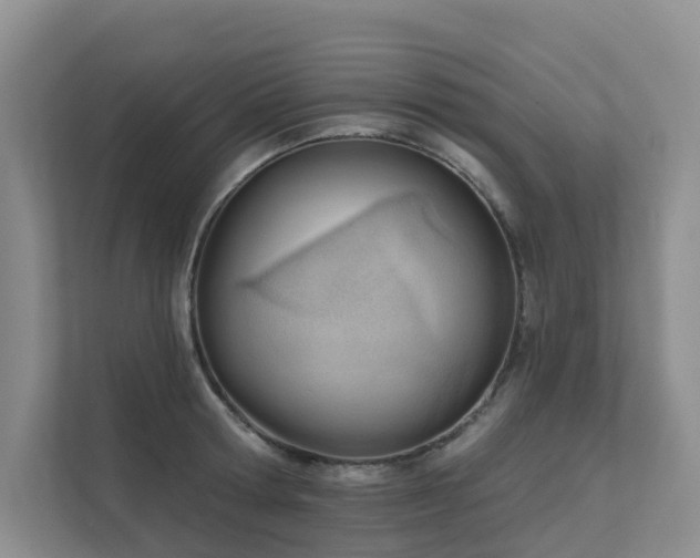 X0000111610802200907171223