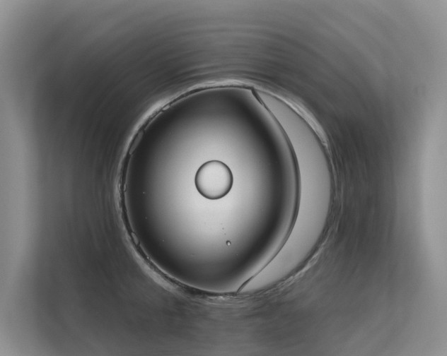 X0000111610805200907171223