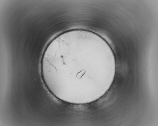 X0000111610807200907171223