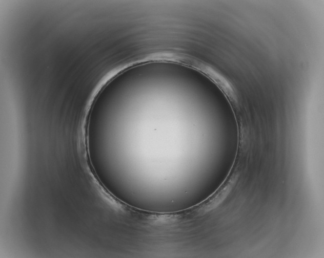 X0000111610808200907171223