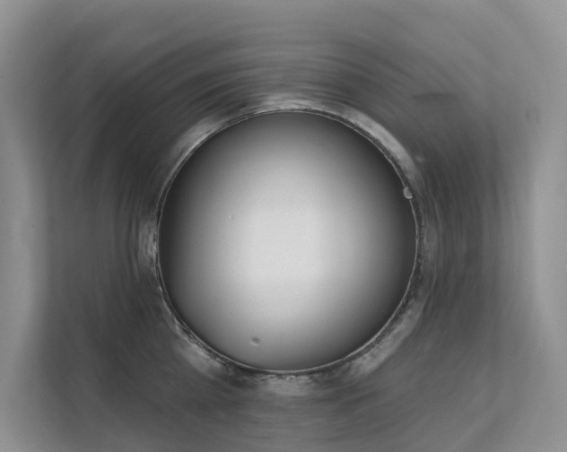 X0000111610809200907171223