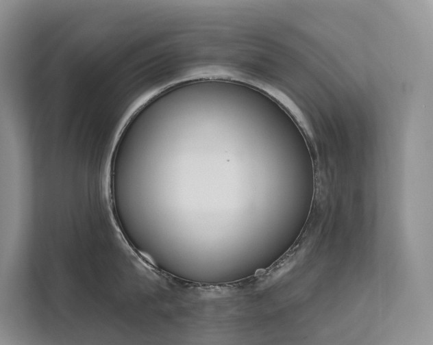 X0000111610815200907171223