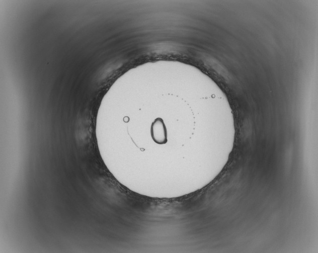 X0000111610824200907171222