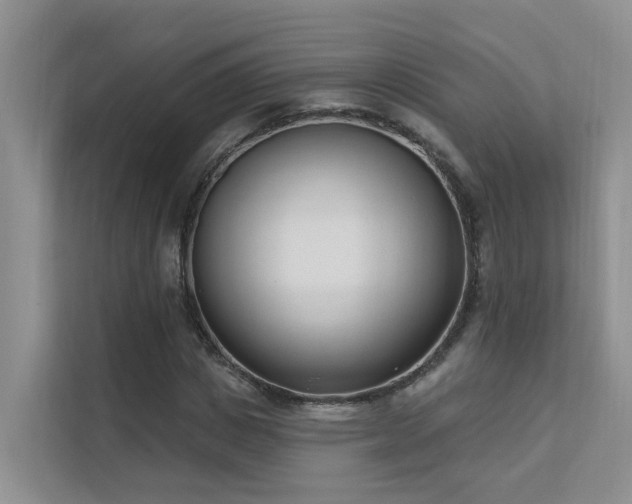 X0000111610825200907171222